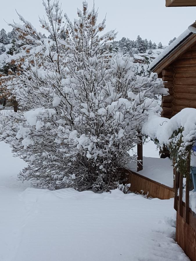 River Falls Lodging -Black Hills, South Dakota Hot Springs Esterno foto